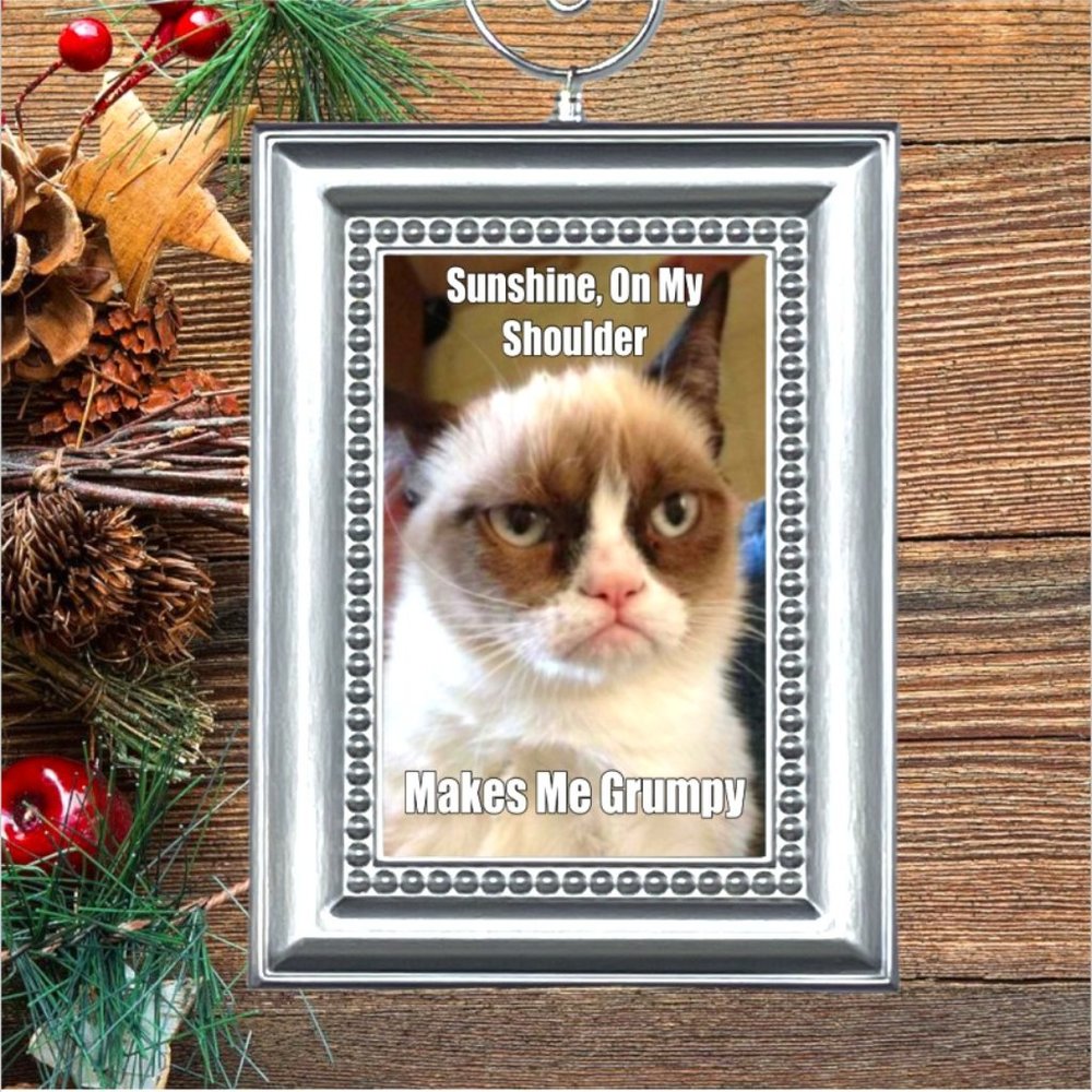 Cat Kitty Kitten Funny Christmas Tree Ornament